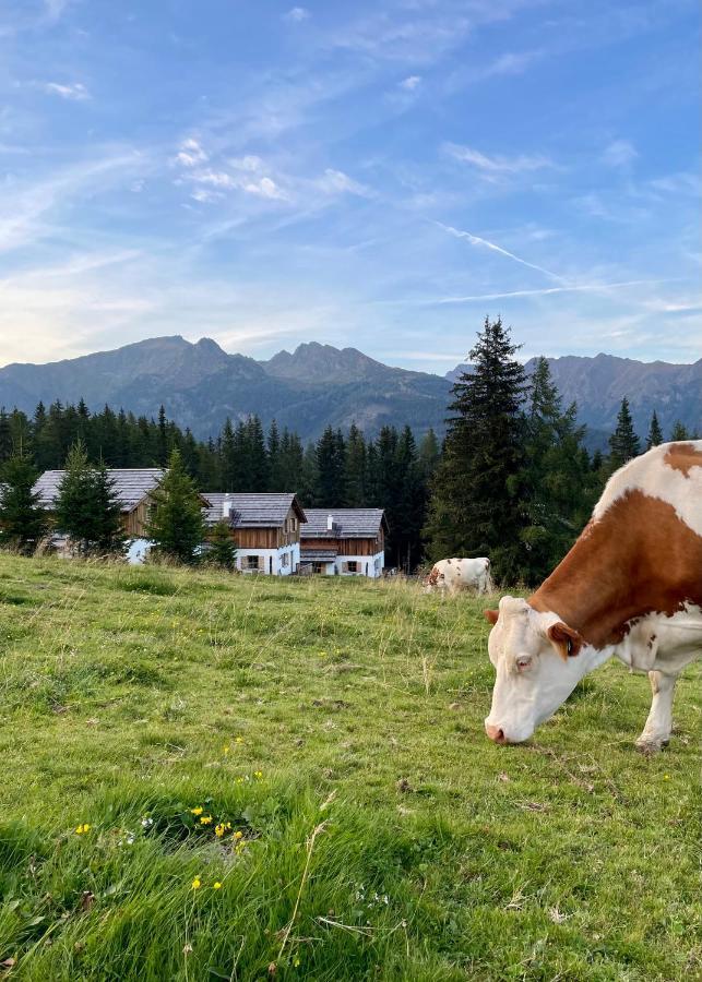 Almdorf Omlach, Fanningberg Weisspriach Kültér fotó